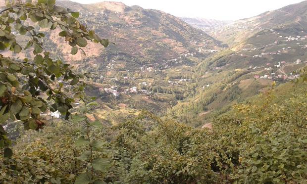RES�M