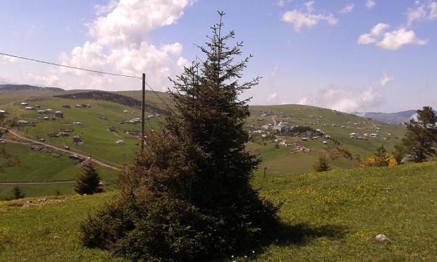 RES�M
