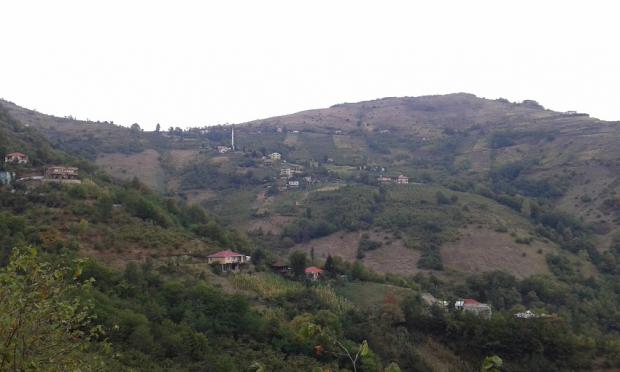 RES�M