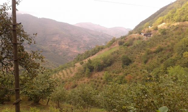 AL� DAYININ  MEZERES�