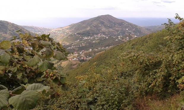 RES�M