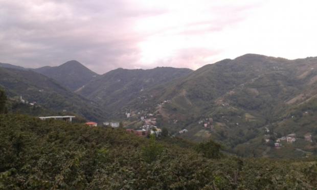 MELEKL� MAHALLES�